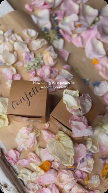 Are you or is someone you know getting married? 💍
Here’s how to dry your own confetti with fresh flowers:

• Remove the flower head and separate the petals.
• Lay the petals across a sheet of paper. 
• Place the paper and petals in a sunny window to let the heat dry out the petals.
• Wait a few days for the petals to dry
• Box up your petals and sprinkle them at the wedding!

#confetti #hack #wedding #makeyourown #florist