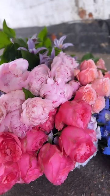 Summer flowers are here but which are your favourite?🌿👇🏼

#florist #flowers #summer #fyp #beauty