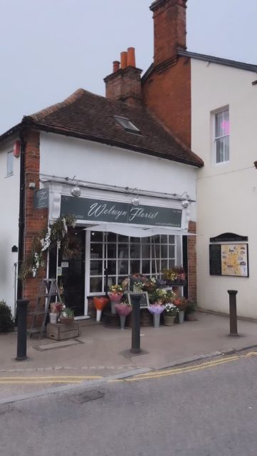 Cut Flowers, Bouquets, Flower Deliveries, Weddings, Events and Sympathy flowers. All from our shop on the high street🌿🌞