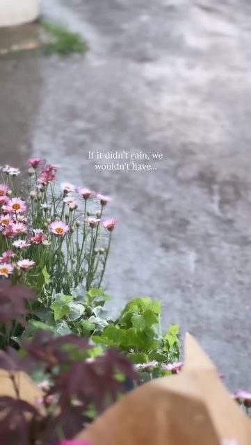 No rain = No flowers🌈🌸🌻🌼

#florist #flowershop #rain #england #flowers
