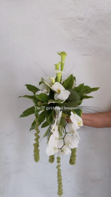 White Calla lilies 🤝🏼 2026 brides.

This years wedding season has seen a return of classic fresh flower stems and minimal foliage. 
Bridal bouquets of White Calla Lilies, Green Amaranthus and Phalenopsis Orchids have been so popular. 

What would you choose?💍

Wedding | bridal bouquet | wedding bouquet | calla lilies | modern | bride | trending