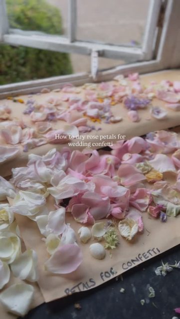 Are you or is someone you know getting married? 💍Here’s how to dry your own confetti with fresh flowers:

• Remove the flower head and separate the petals.
• Lay the petals across a sheet of paper. 
• Place the paper and petals in a sunny window to let the heat dry out the petals.
• Wait a few days for the petals to dry
• Box up your petals and sprinkle them at the wedding!

#confetti #hack #wedding #makeyourown #florist