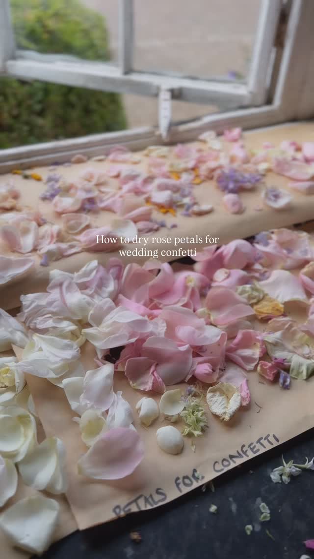 Are you or is someone you know getting married? 💍Here’s how to dry your own confetti with fresh flowers:

• Remove the flower head and separate the petals.
• Lay the petals across a sheet of paper. 
• Place the paper and petals in a sunny window to let the heat dry out the petals.
• Wait a few days for the petals to dry
• Box up your petals and sprinkle them at the wedding!

#confetti #hack #wedding #makeyourown #florist