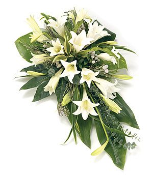 Our single ended lily spray is a classic single ended spray of Longiflorum Lilies and complementary foliage. The design is white and green