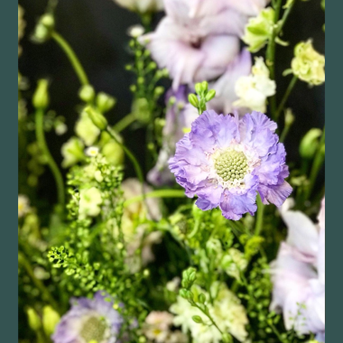 Flower subscriptions available to purchase