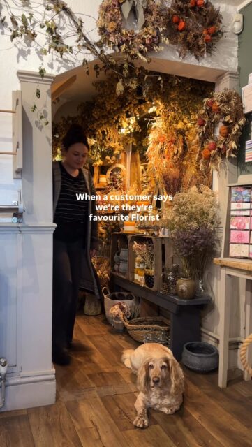 There’s no feeling like it💃

#fyp #dance #florist #funny #flowers