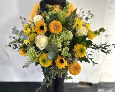 You are my sunshine, close up. Against a white wall and person in a bumble bee yellow jumper.